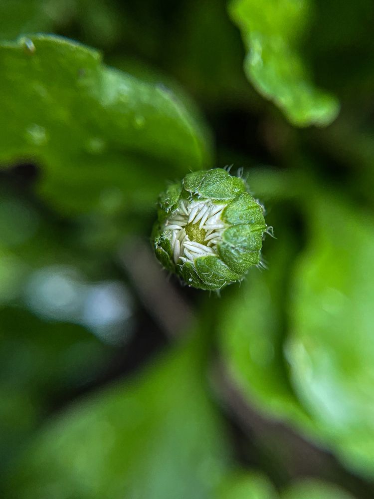 Photograph by Анна Пигулевская