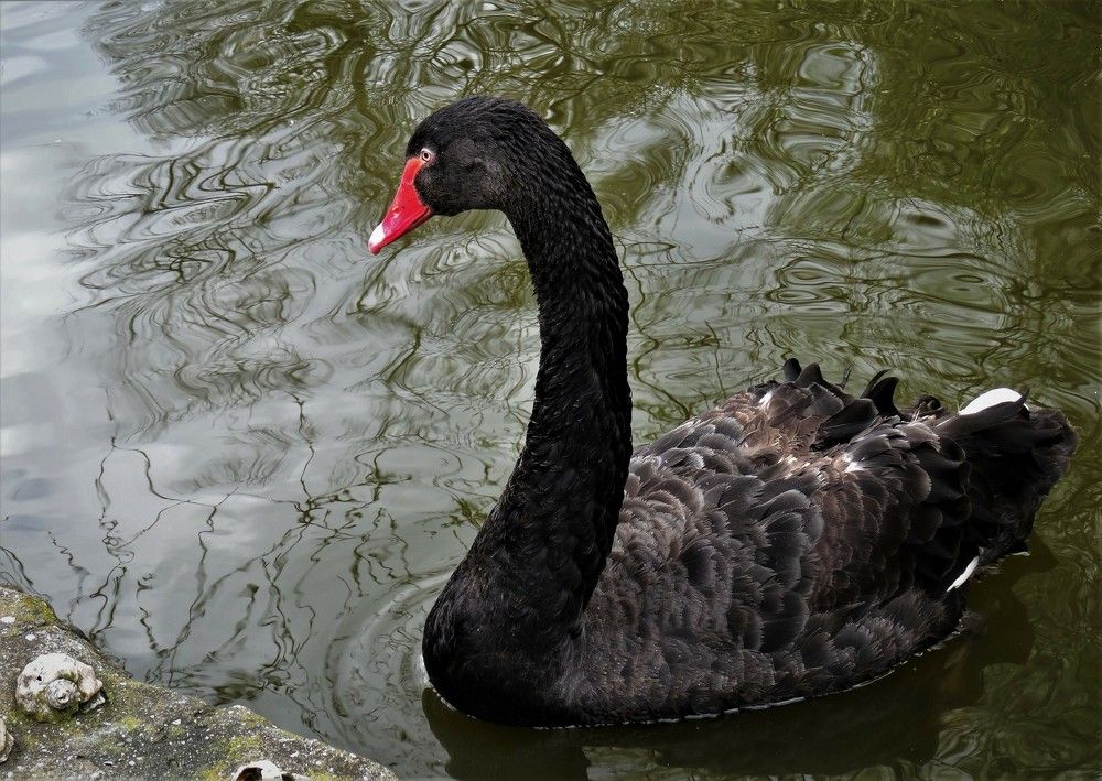 Photograph by Марина Раткун