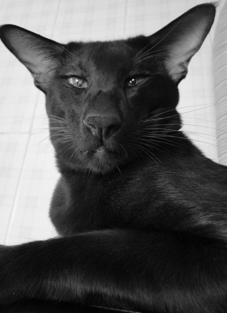 Photograph by Дмитрий Соколов