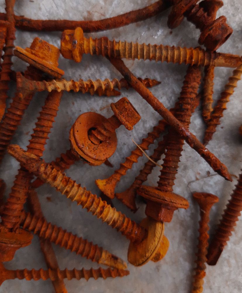 Photograph by Алия Латыйпова