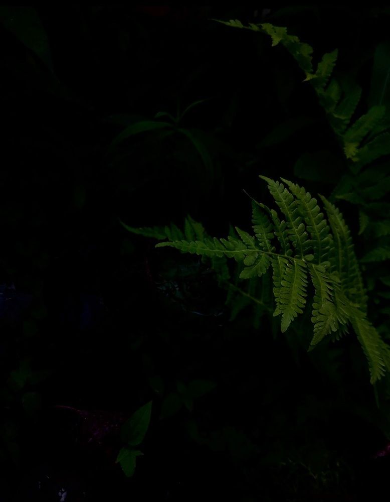 Photograph by Анна Пигулевская