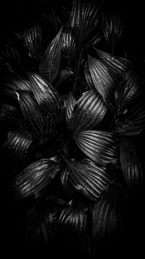 Photograph by Анна Пигулевская