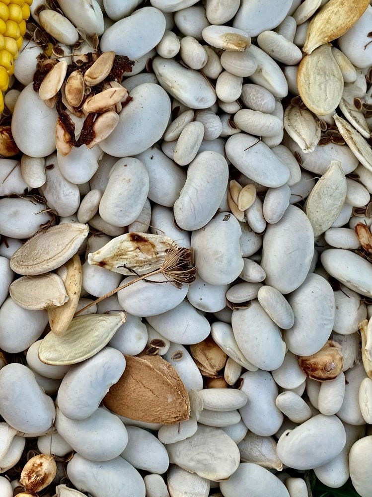 Photograph by Анна Пигулевская