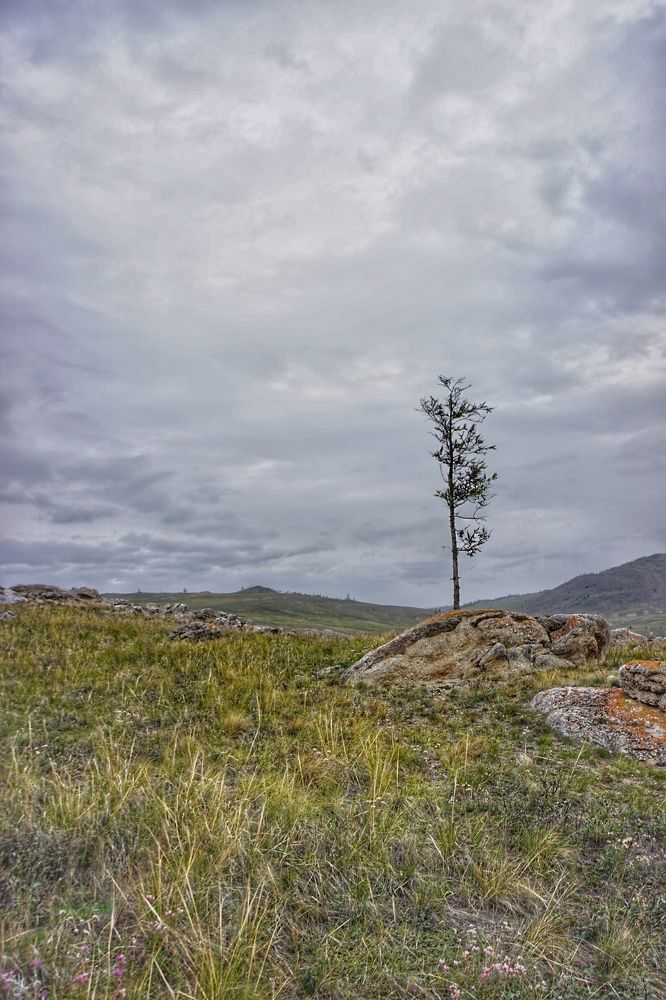 Photograph by Сергей Гуляев