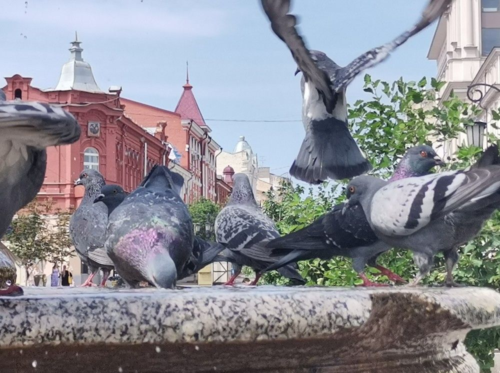 Photograph by Ирина Садовникова