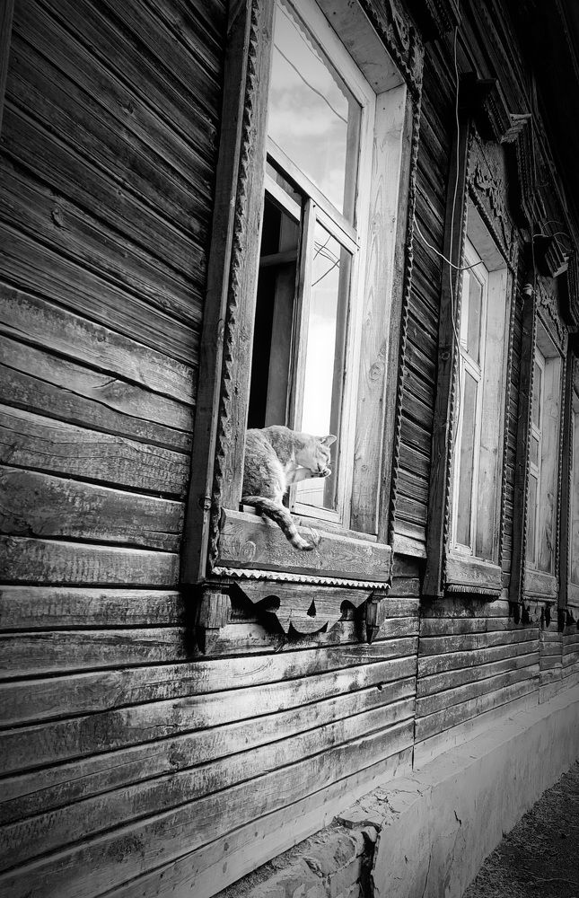 Photograph by Валерий Безбородов