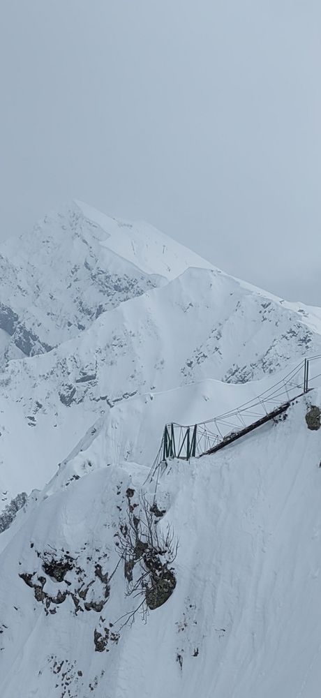 Photograph by Ольга Голованова