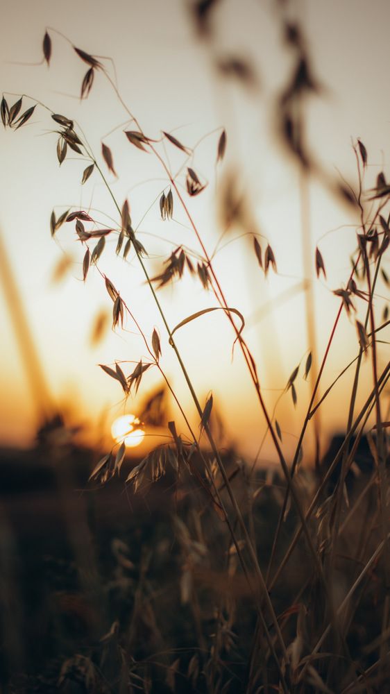 Photograph by Гузель Миникаева