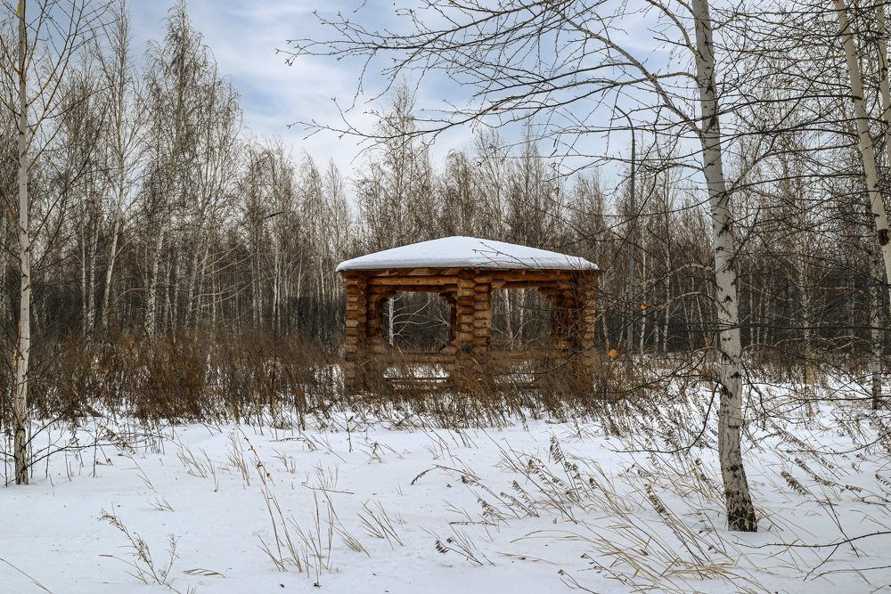 Photograph by Наталья Ефимова