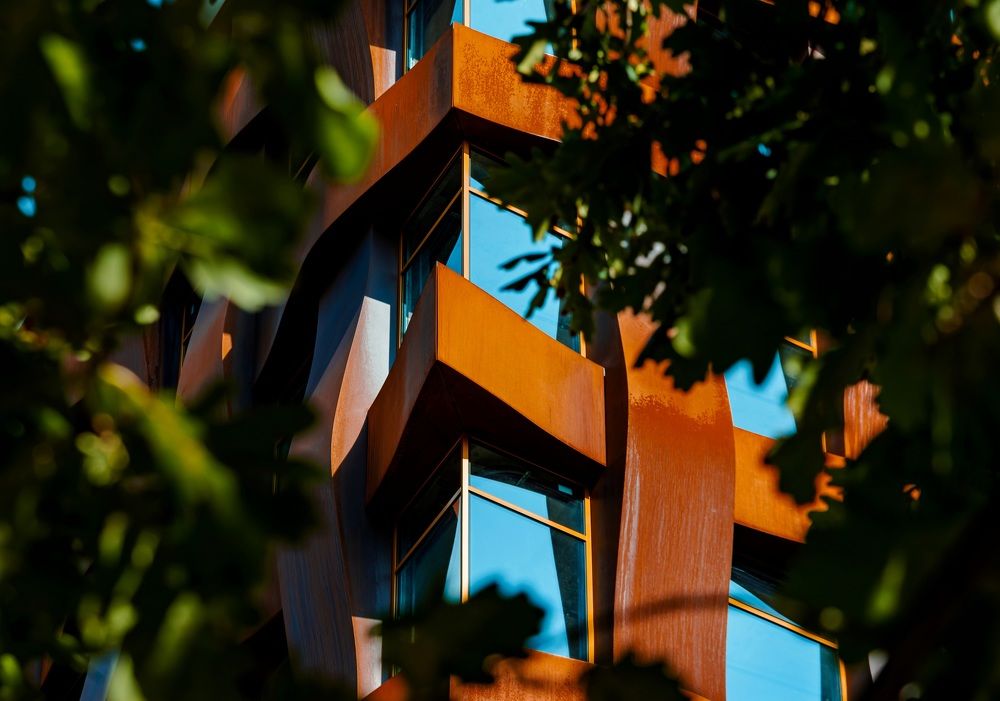 Photograph by Максим Кольцов