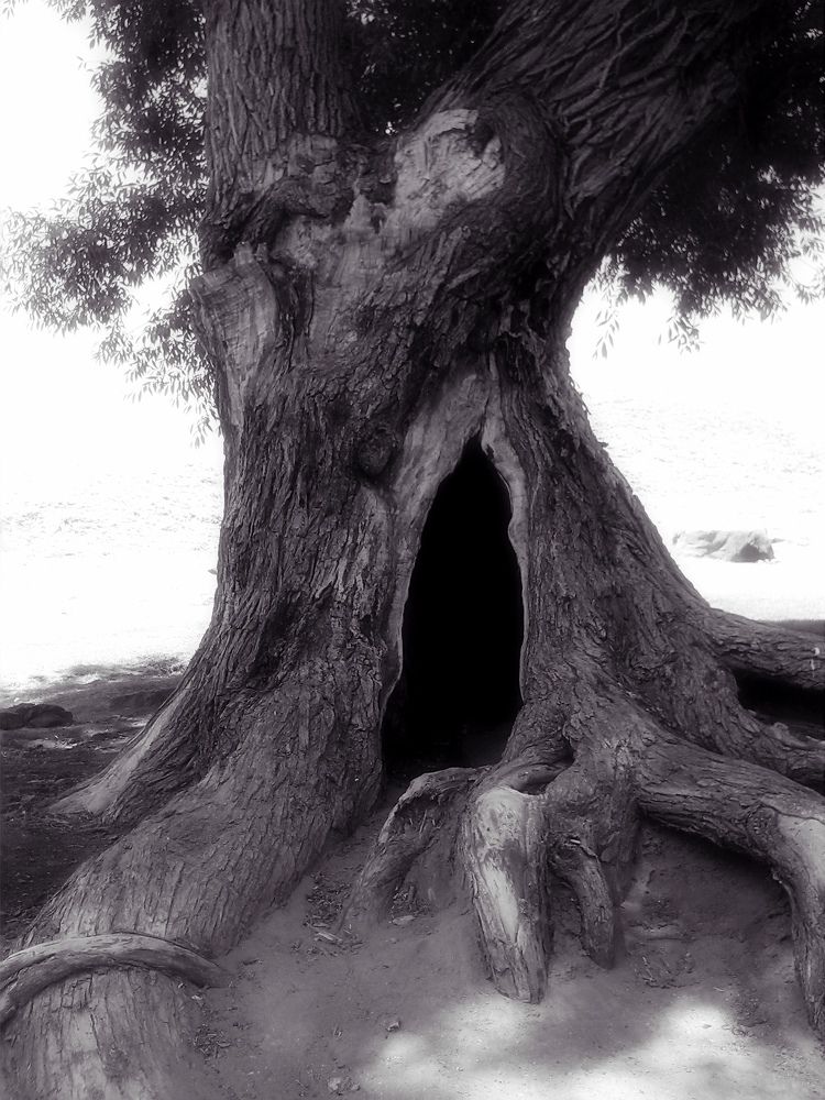 Standing in the dark