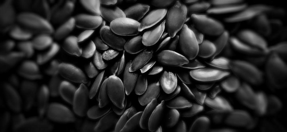 Photograph by Konstantin Martynov