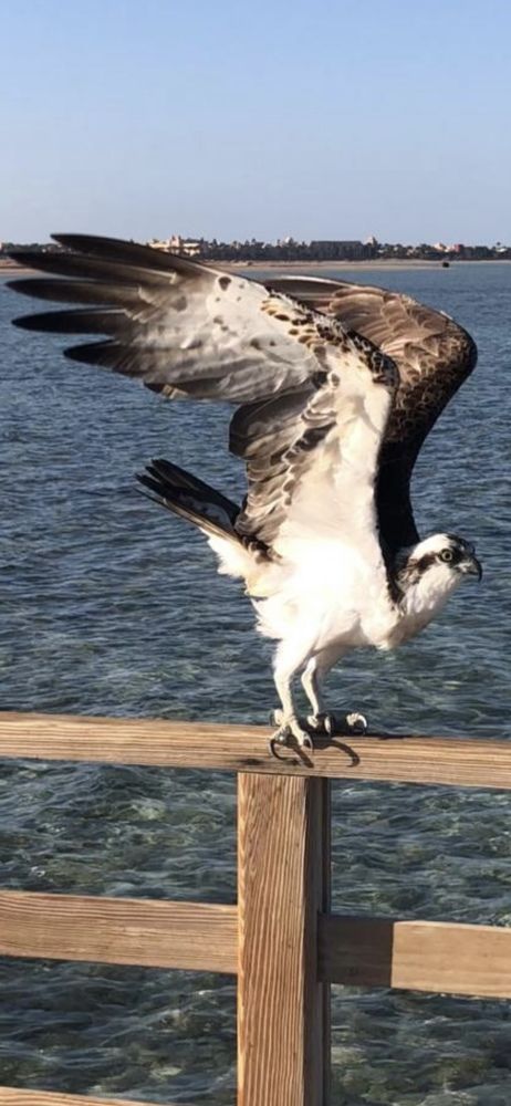 Photograph by Александра Акси