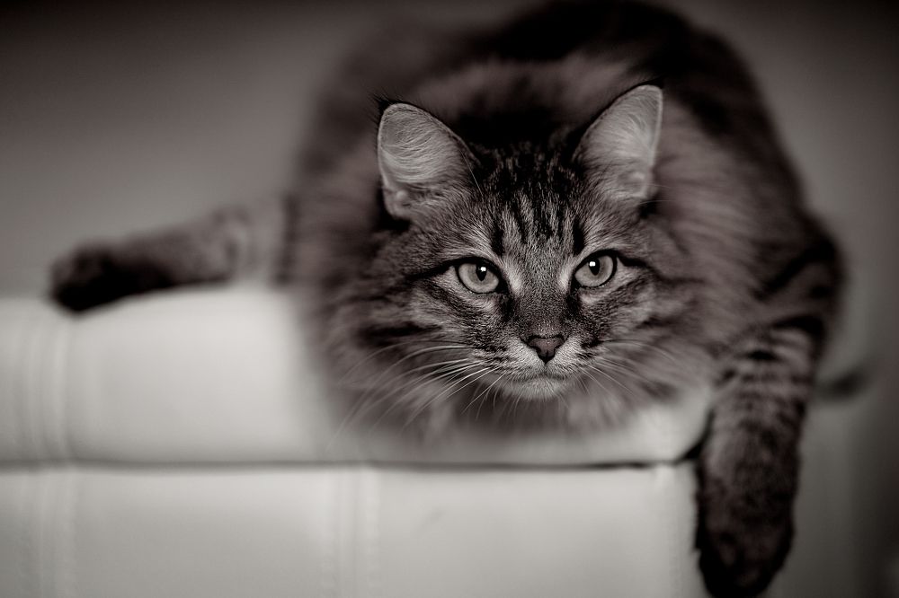 Photograph by Мария Сафронова