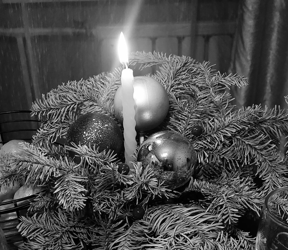 Photograph by Анастасия