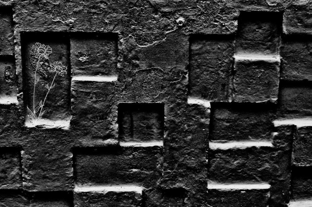 Photograph by Ирина Александрович