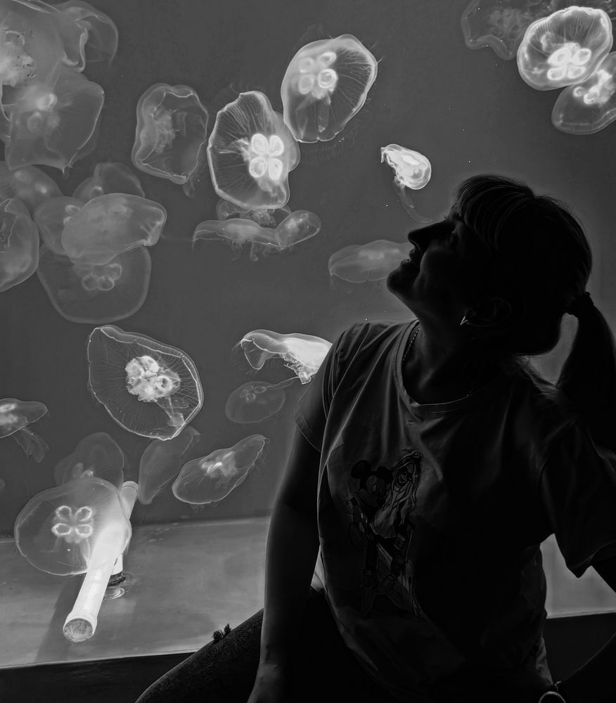 Photograph by Елизавета Лай