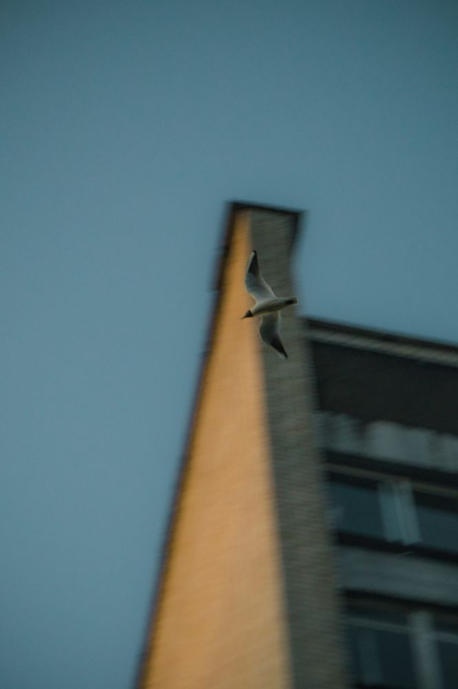 Фотография автора Владислав Базылев