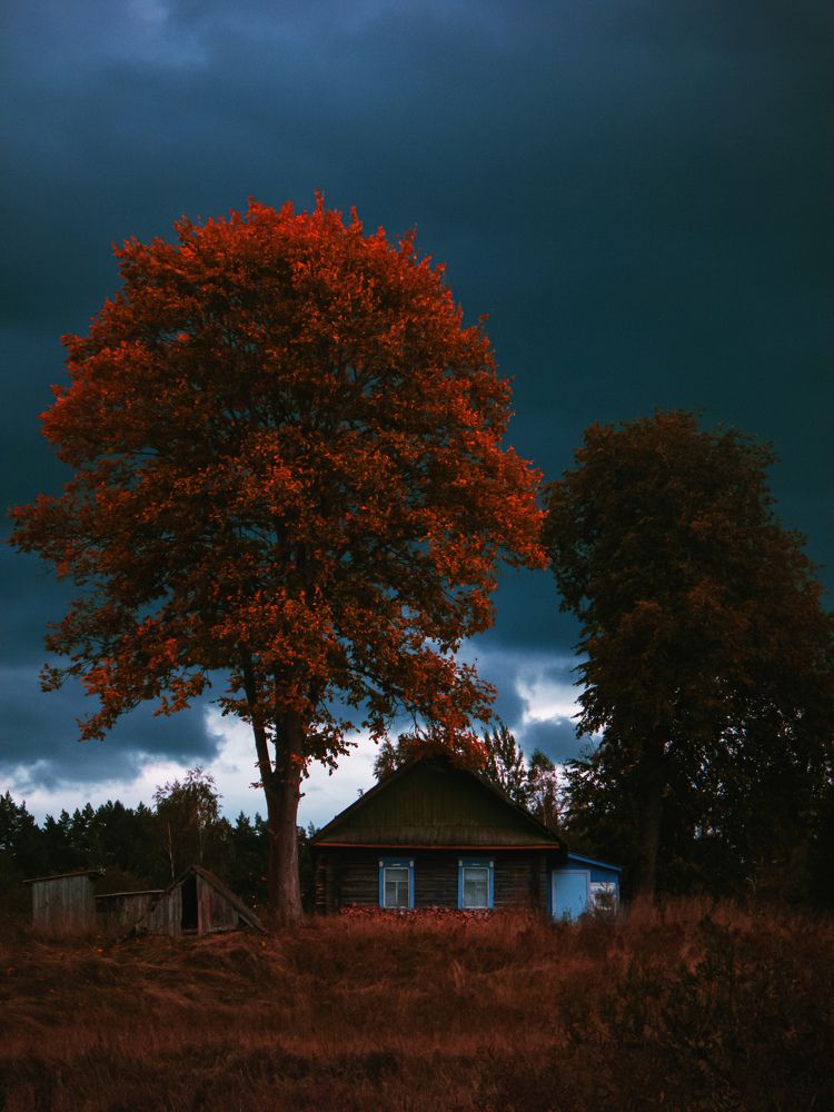 Фотография автора Владислав Базылев