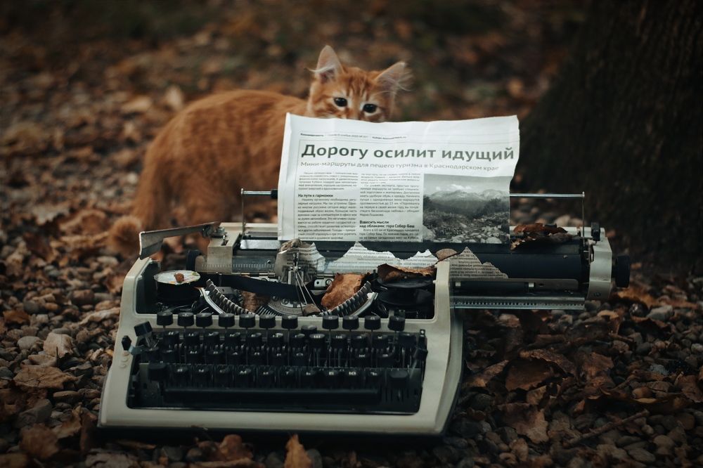 Photograph by Татьяна Исаева