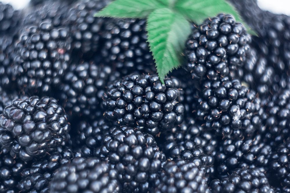 Photograph by Людмила Прибылова