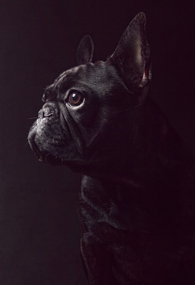 Photograph by Анна Васильева