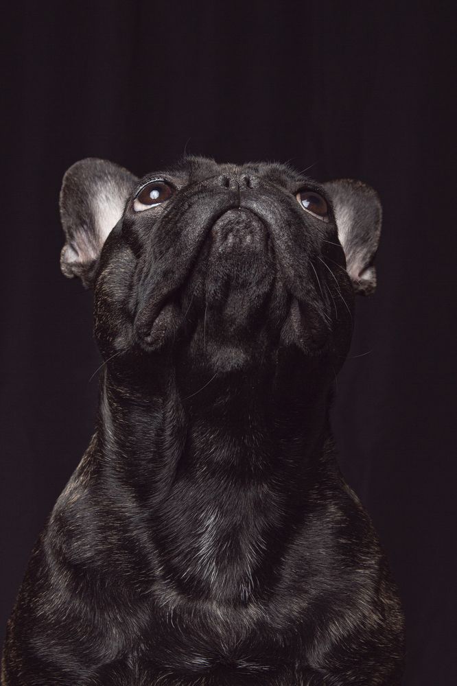 Photograph by Анна Васильева