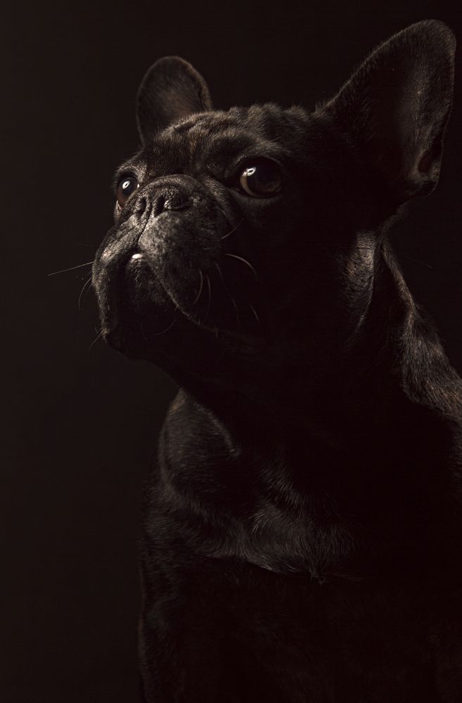 Photograph by Анна Васильева