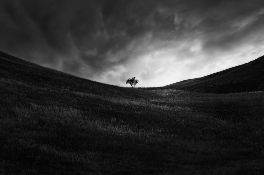 Photograph by de Franzoni Thomas