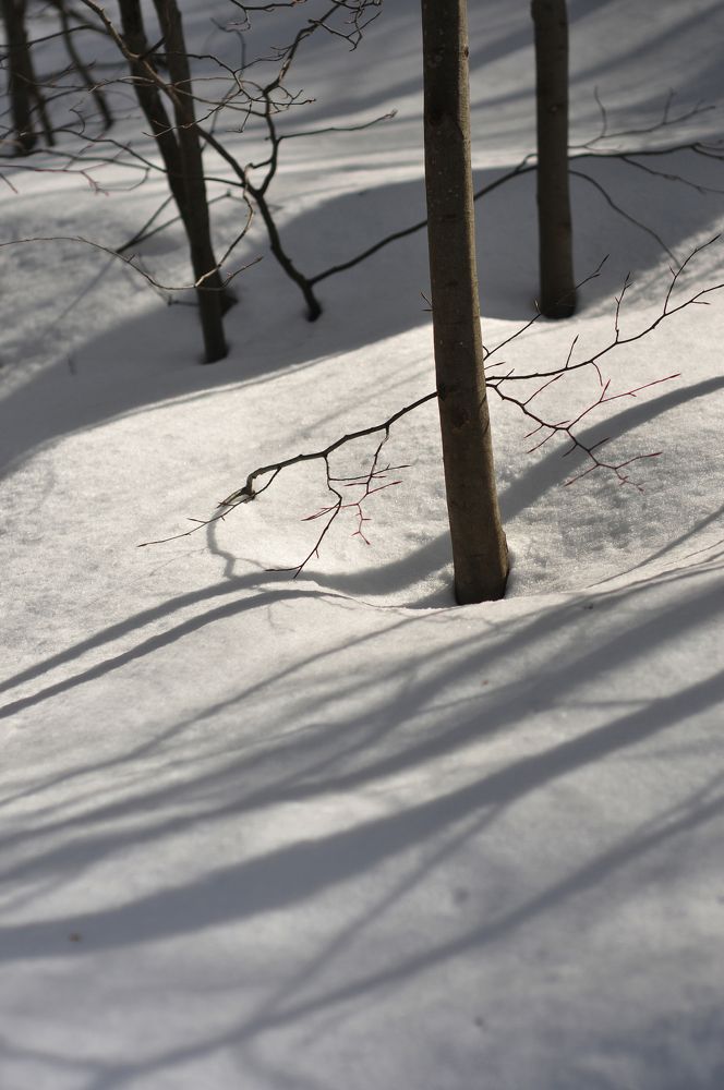 Photograph by Muzaffer Sütlüoğlu