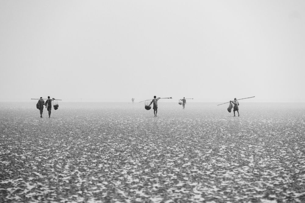 A Group Of Fisherman