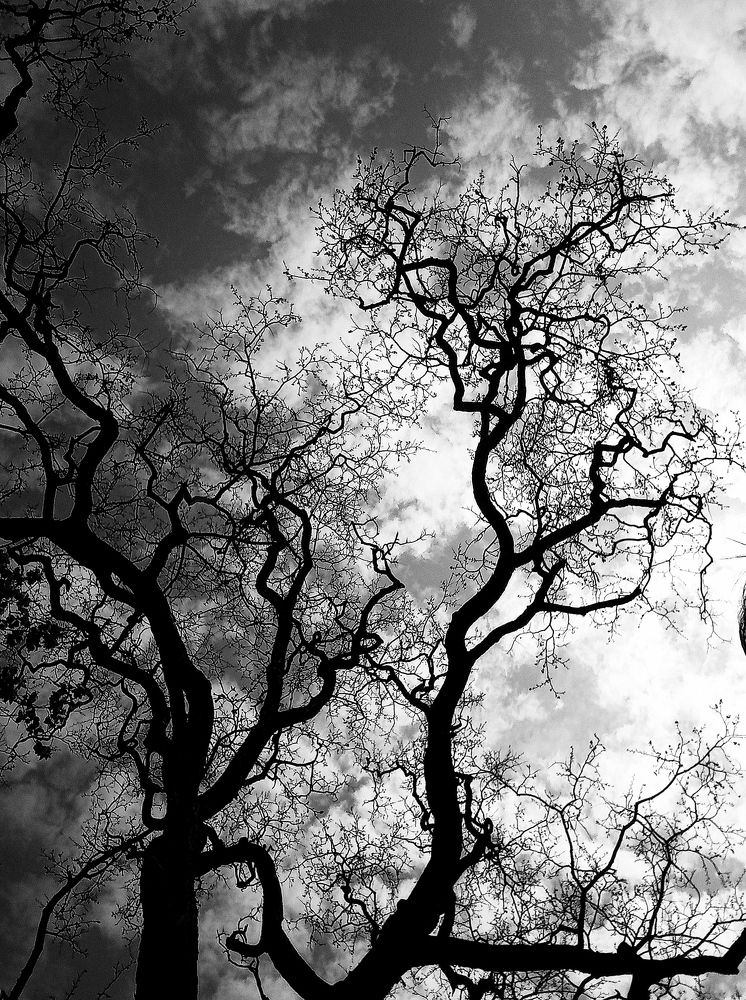 Photograph by Kapil Singh