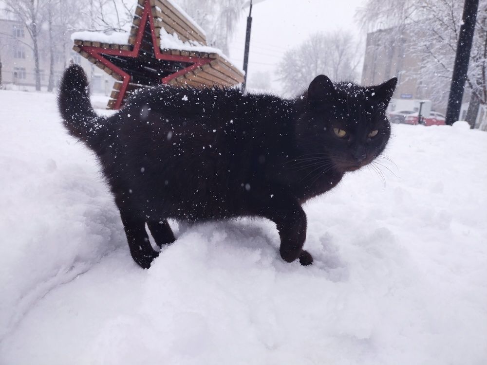 Photograph by Наташа Верхоламова