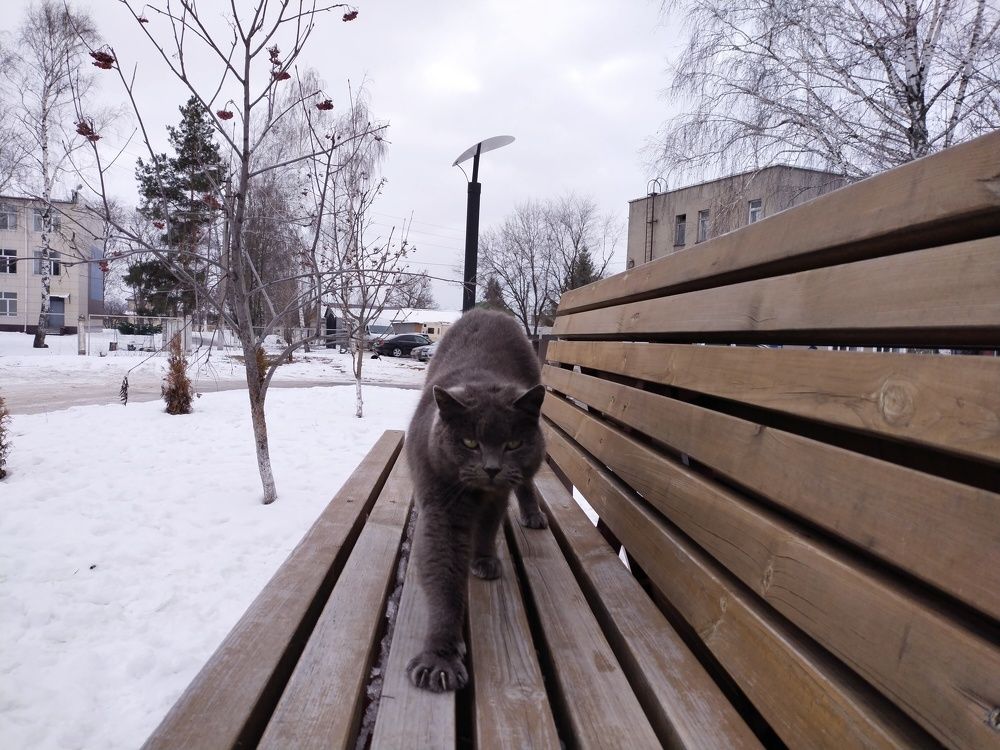 Photograph by Наташа Верхоламова