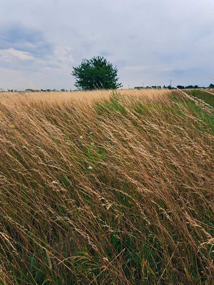Photograph by Максим Харитонов