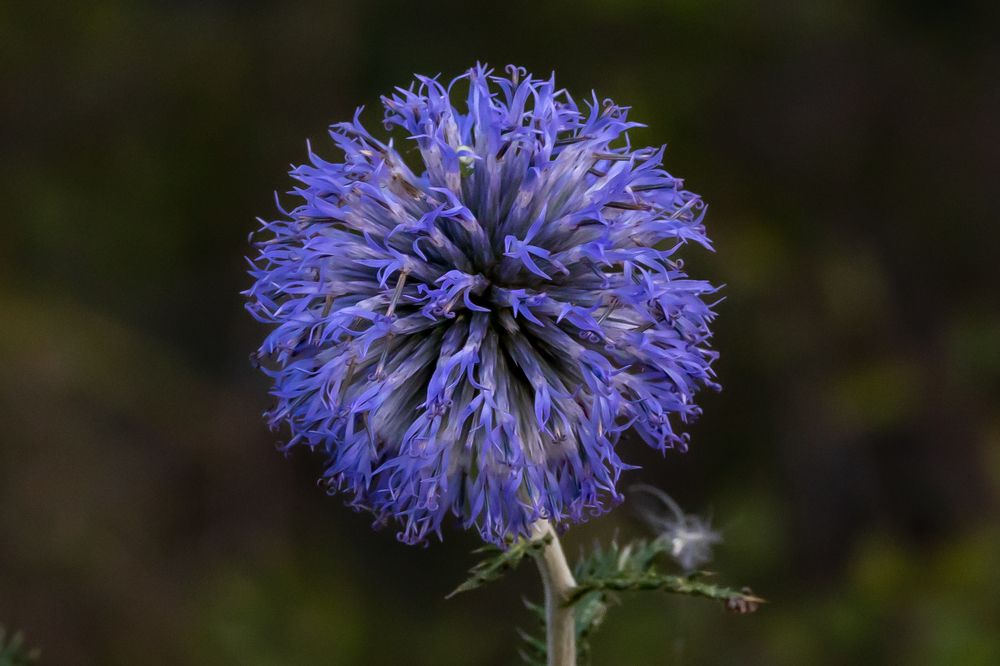 Photograph by Щепанов Дмитрий