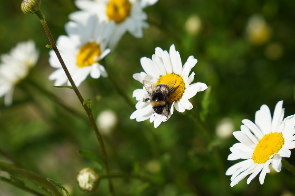 Photograph by Дарья Ринас