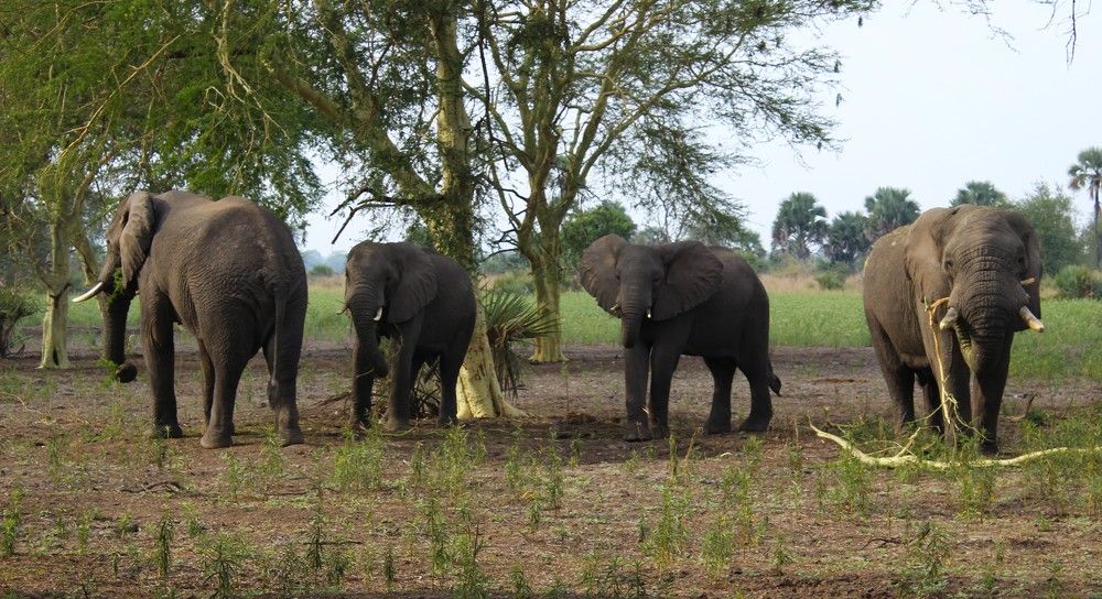 Photograph by Mário Fernando