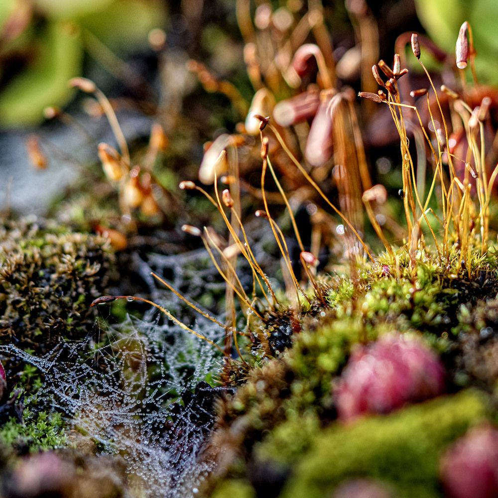 Фотография автора Igor Lukin