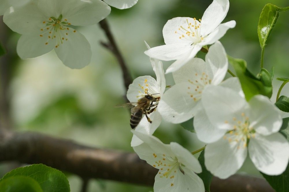 Photograph by Дарья Ринас