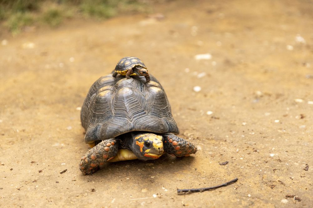 Photograph by Иван Соловьёв