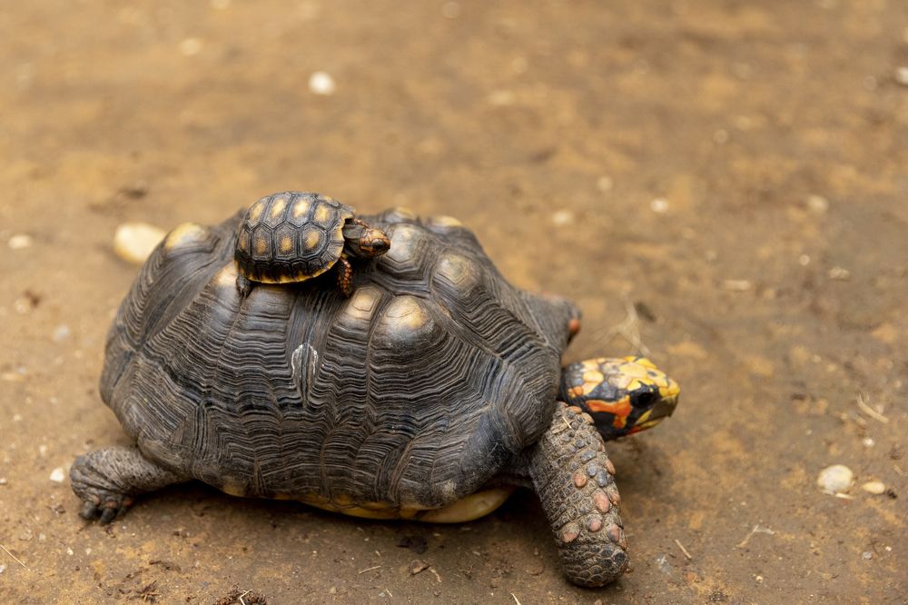 Photograph by Иван Соловьёв