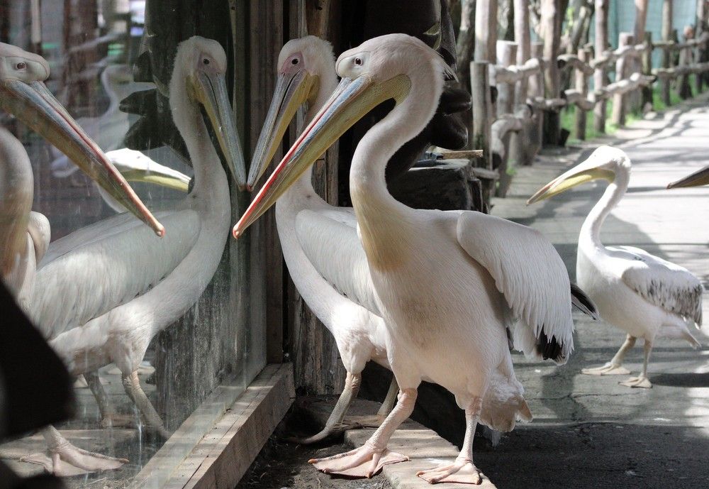 Photograph by Galina Tsmyg