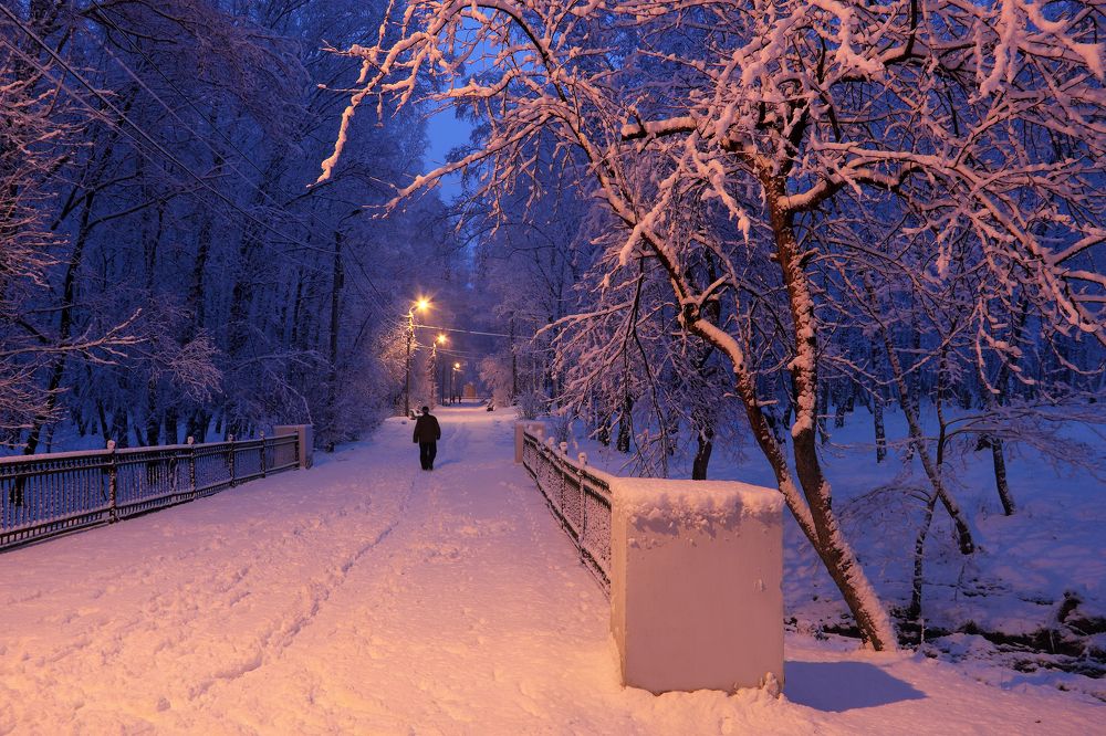 Фотография автора Кухта Мария