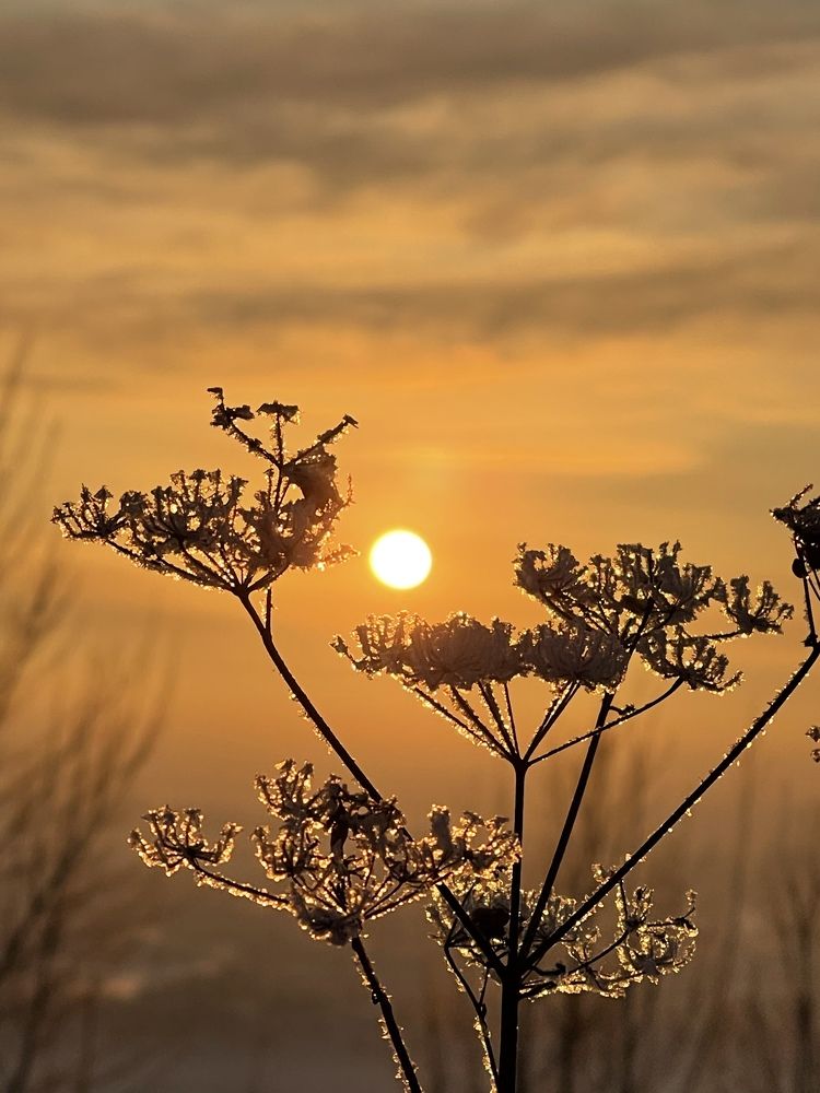 Зимний закат