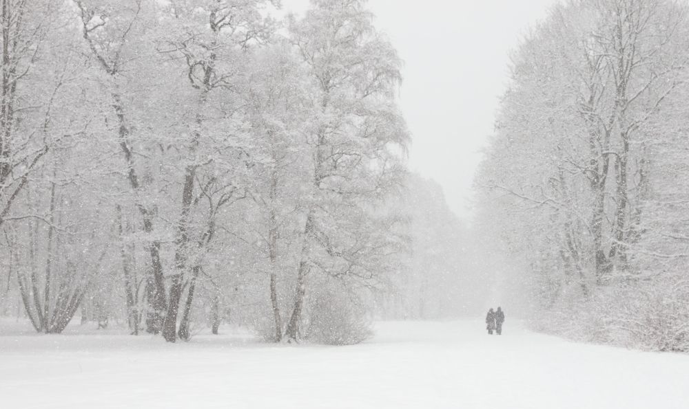 Photograph by елена