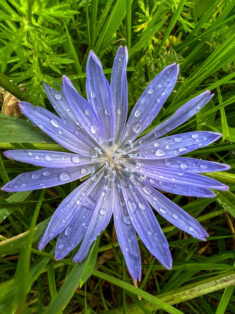 Photograph by Яна Мухина