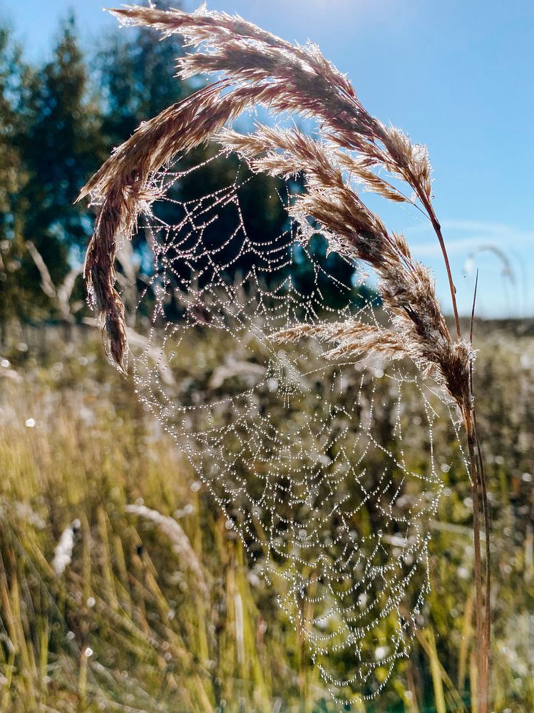 Photograph by Яна Мухина