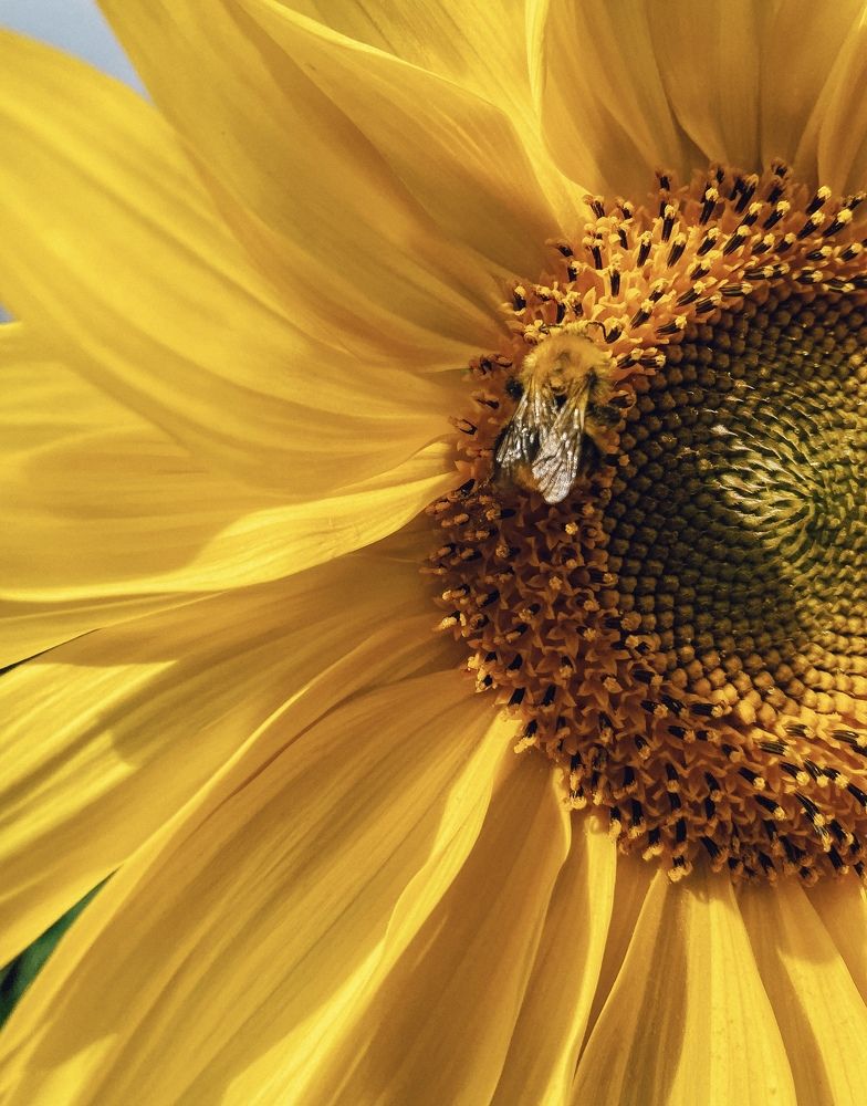 Photograph by Яна Мухина