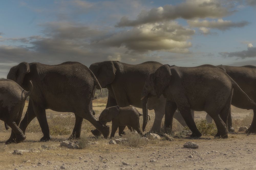 Photograph by Гайдабуров Сергей